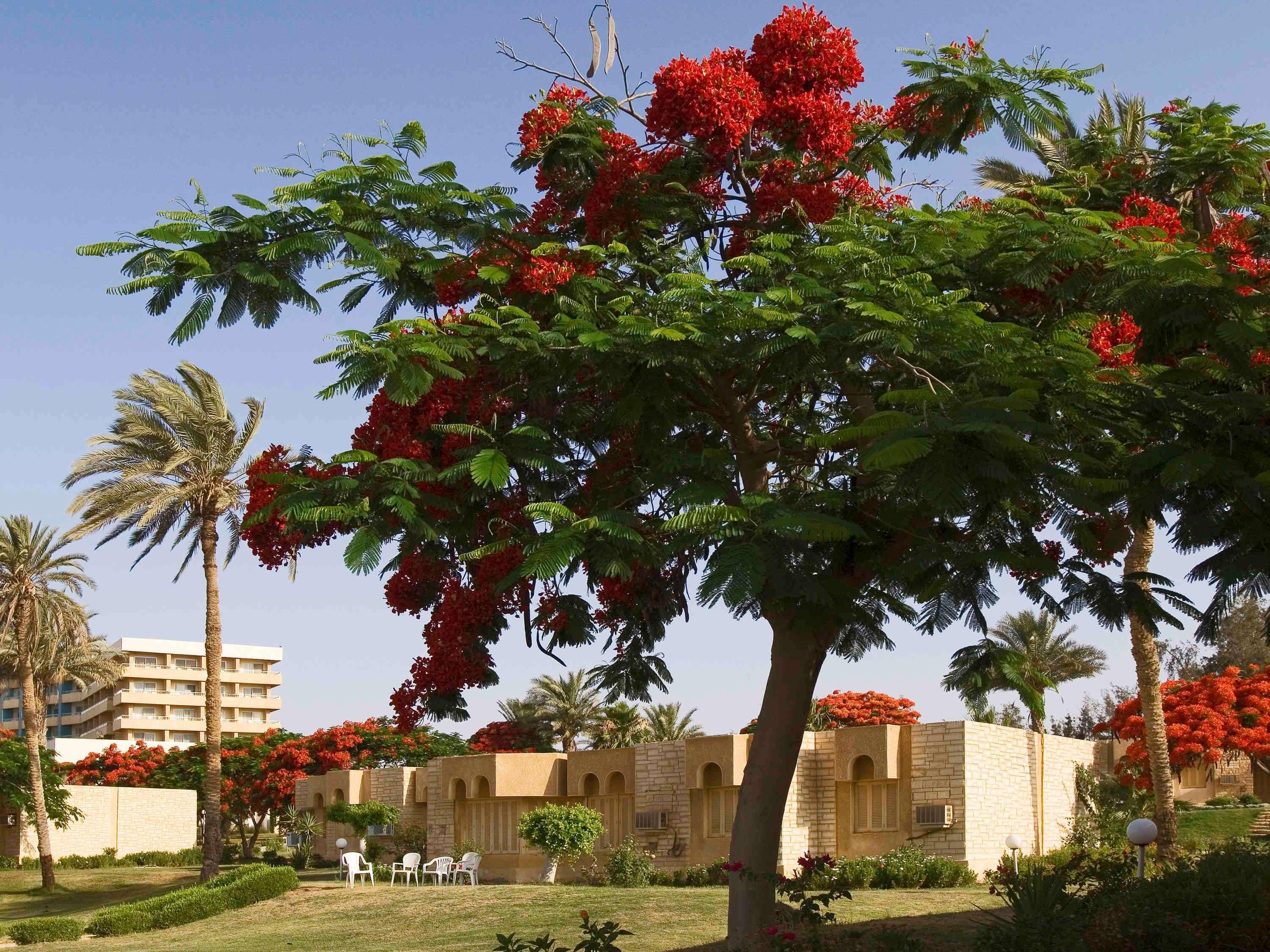 Mercure Ismailia Forsan Island Exterior photo